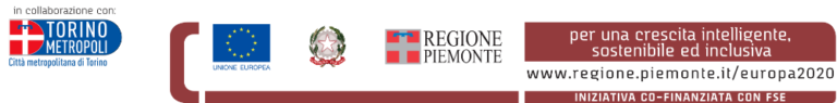 Logo Regione Piemonte - Footer